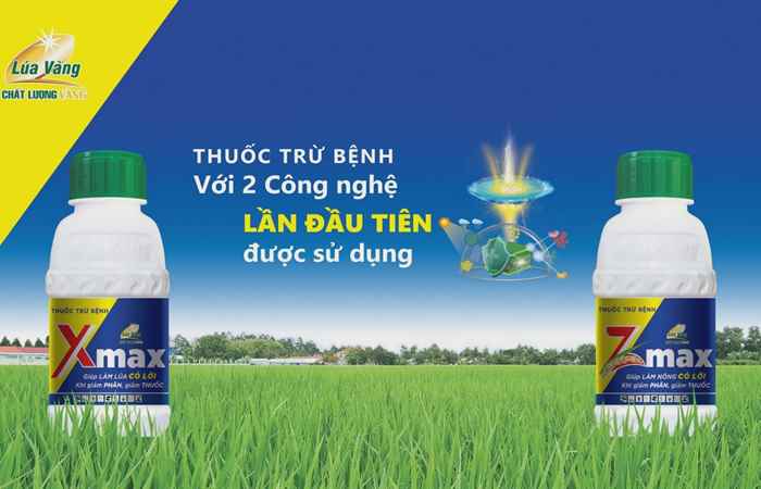 Trổ khỏe, chống sốc, sượng lúa trong mùa mưa (29-06-2024)